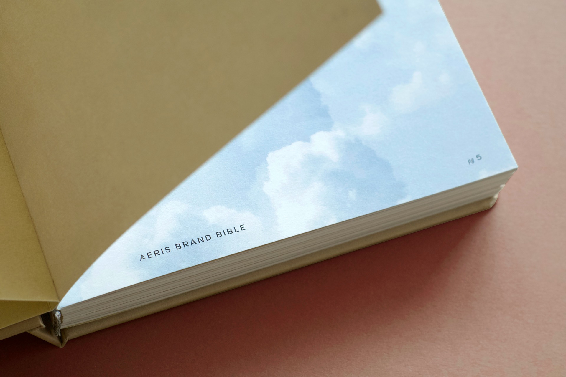 WORKBYW-AERIS-BG-4